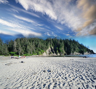 The oswald west state park Oregon