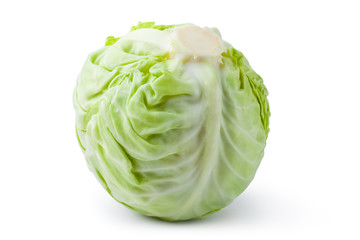 Fototapeta premium White cabbage