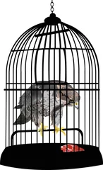 Papier Peint photo Lavable Oiseaux en cages aigle en cage illustration