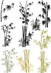 isolated bamboo collection - obrazy, fototapety, plakaty