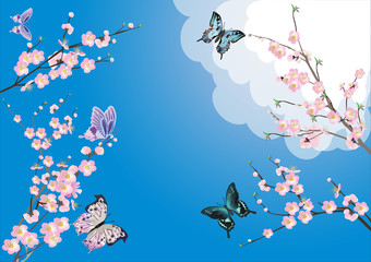 fleurs de cerisier roses et papillons sur bleu