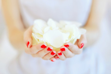 rose petals in hands