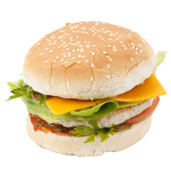 cheeseburger on the plate