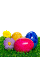 Painted Easter eggs on grass with white background copy space