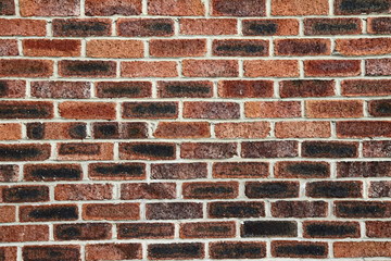 Brick wall in a close up