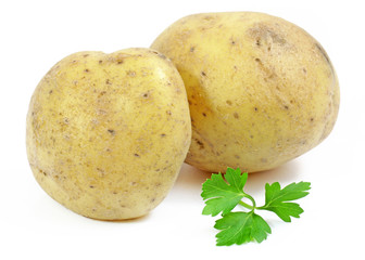 Potato. Isolated on white background.