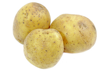 Potato. Isolated on white background.