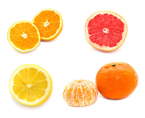 Collection of citrus fruit orange tangerine lemon grapefruit