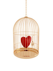 birdcage