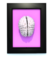 human brain in a framework