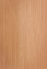 New light brown wooden texture with copy space