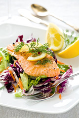 Salmon Meal