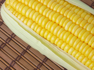 close-up yellow corn