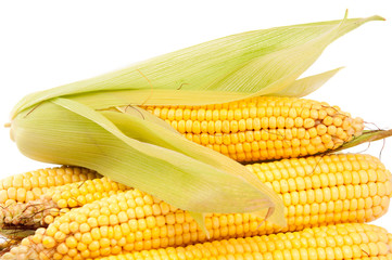 cobs corn
