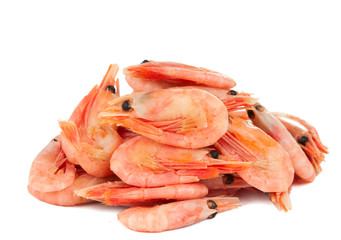 shrimp isolated