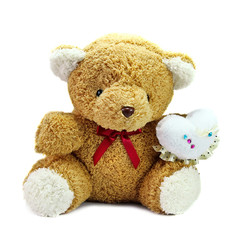 Bear on white background.
