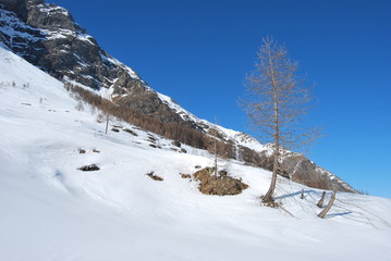 nella neve
