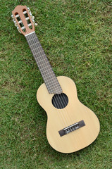 "Guitar LeLe" on green grass