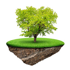 Little island and trees isolated on white background