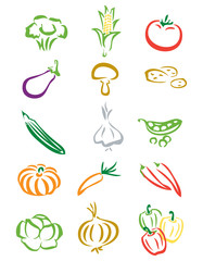 Vegetable Illustrations