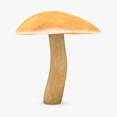 suillus bovinus