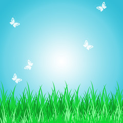 Fototapeta na wymiar spring scene - Grassy green field and blue sky with butterfly
