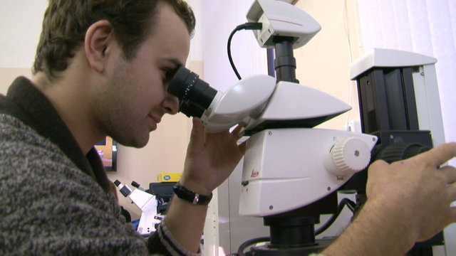 A scientist at the microscope