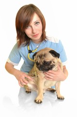 médecin vétérinaire avec chien isolé