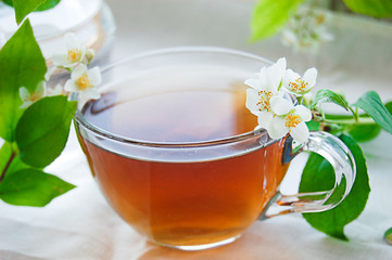 Cup of green tea with jasmine