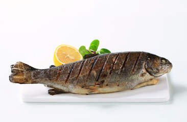 Grilled trout