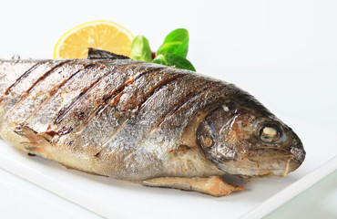 Grilled trout
