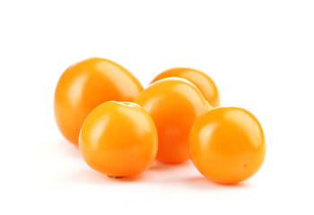 Physalis heap isolated on white