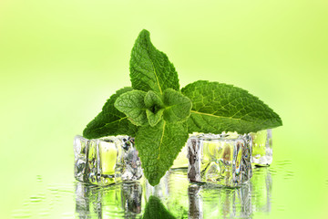Fresh mint leaf and ice cubes with droplets on green background