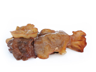 black fungus on white background