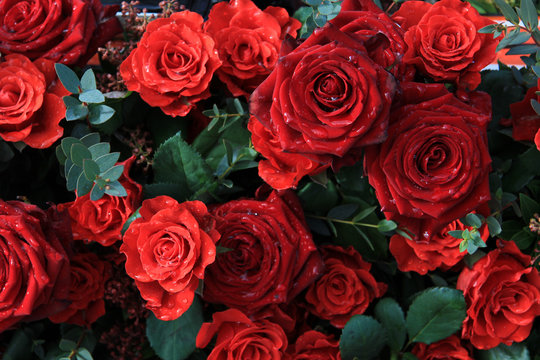Red roses in a floral arrangement