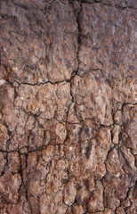 soil colour and texture