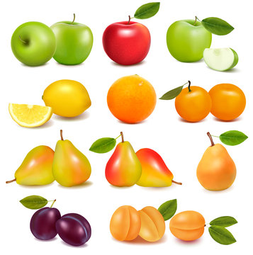 Big group of different fresh fruit  Vector