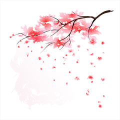 Sakura watercolour - 39170691
