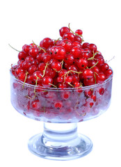 Red currant dessert in glass, on white background