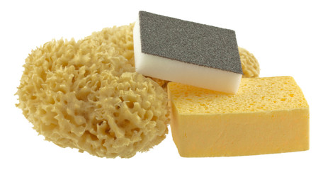 éponges