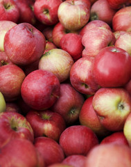 Fototapeta na wymiar Full Frame of Red Apples