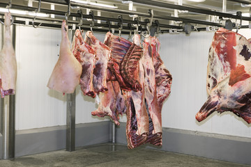 Hanging meat