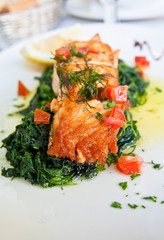 grilled salmon