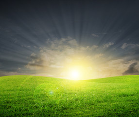 Obraz na płótnie Canvas Green Field and Beautiful Sunset