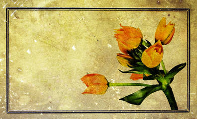 Grunge retro background with tulips and copy space