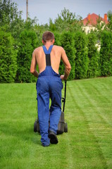 gardener