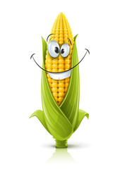 corncob vector illustration color on white background