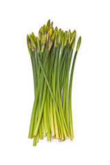 Bouquet or bunch of daffodils isolated ona white studio backgrou
