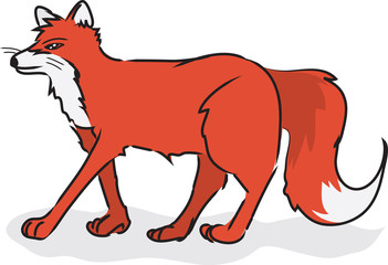 Cartoon fox walking or standing