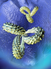 Antibodies